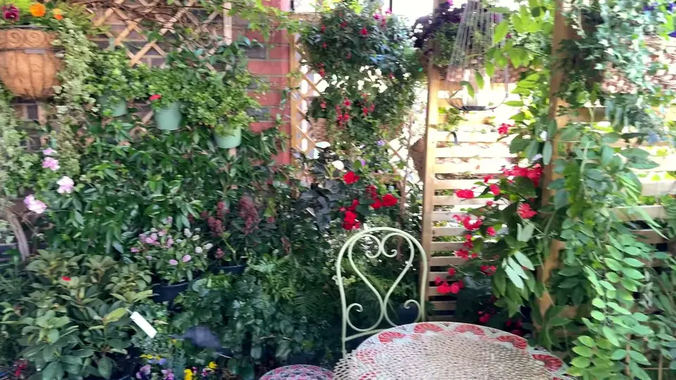 The front terrace at Marcio’s, seen from Castle Road