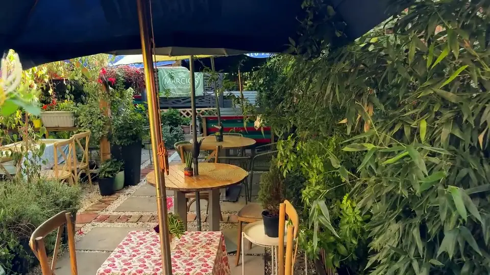 The back garden at Marcio’s, with tables under parasols among the plants